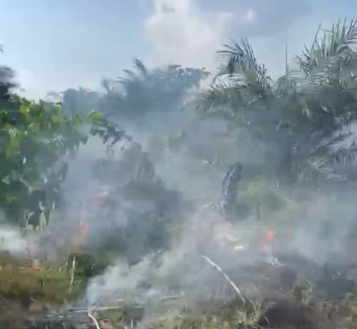 BPBD Batang Hari Tanggap, Berhasil Jinakkan Kebakaran Lahan Sawit Warga di Desa Bajubang Laut
